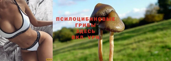 mdpv Алексеевка